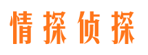 津市找人公司